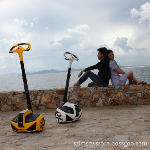Self-Balancing Personal Transporter
